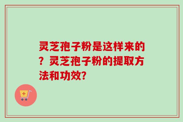灵芝孢子粉是这样来的？灵芝孢子粉的提取方法和功效？