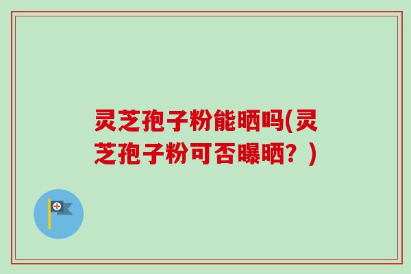灵芝孢子粉能晒吗(灵芝孢子粉可否曝晒?) 灵芝孢子粉能晒吗(灵芝孢子粉可否曝晒?)
