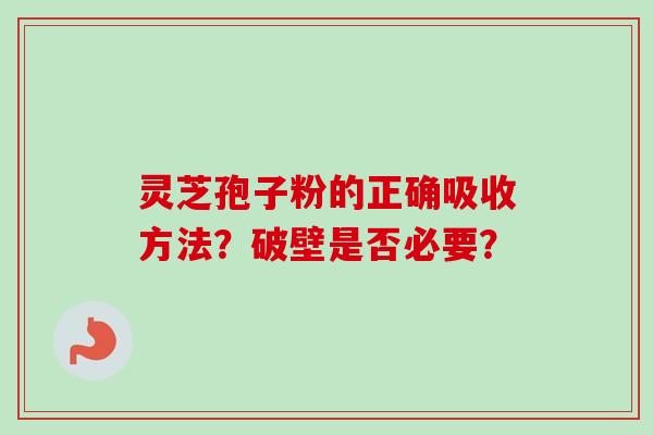 灵芝孢子粉的正确吸收方法？破壁是否必要？
