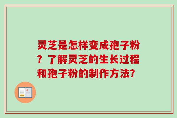 灵芝是怎样变成孢子粉?了解灵芝的生长过程和孢子粉的制作方法? 灵芝是怎样变成孢子粉?了解灵芝的生长过程和孢子粉的制作方法?