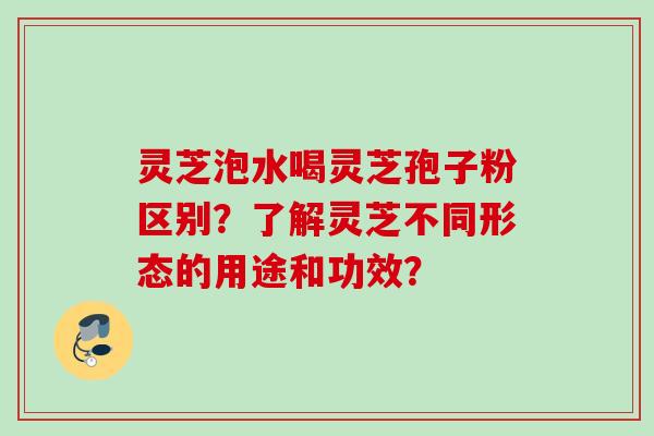 灵芝泡水喝灵芝孢子粉区别?了解灵芝不同形态的用途和功效? 灵芝泡水喝灵芝孢子粉区别?了解灵芝不同形态的用途和功效?