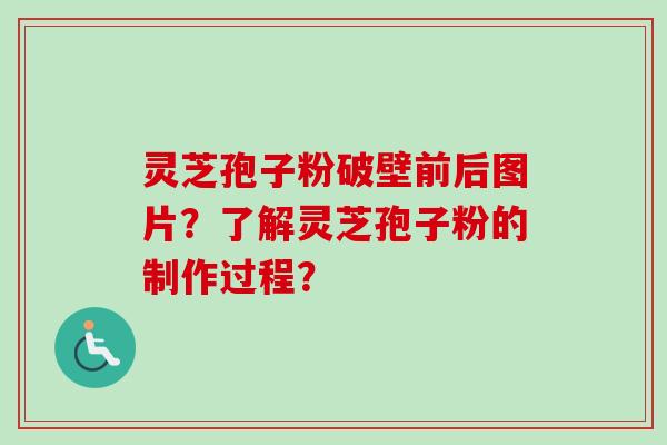 灵芝孢子粉破壁前后图片？了解灵芝孢子粉的制作过程？