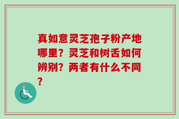 真如意灵芝孢子粉产地哪里？灵芝和树舌如何辨别？两者有什么不同？