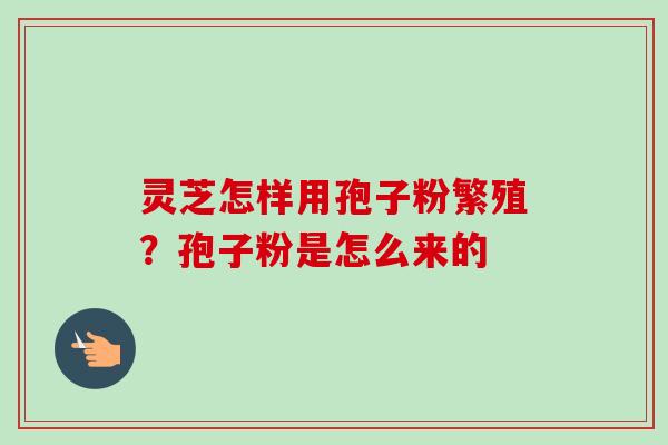 灵芝怎样用孢子粉繁殖?孢子粉是怎么来的 灵芝怎样用孢子粉繁殖?孢子粉是怎么来的