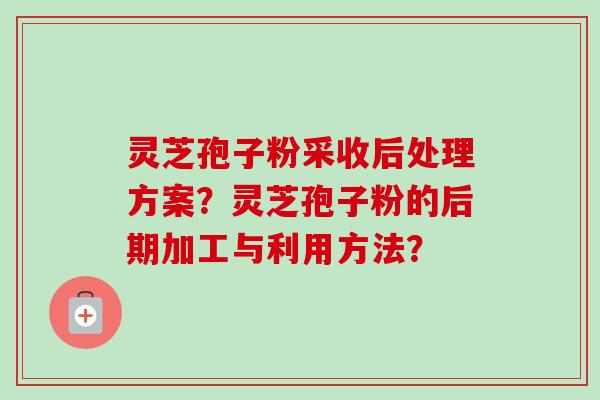 灵芝孢子粉采收后处理方案?灵芝孢子粉的后期加工与利用方法? 灵芝孢子粉采收后处理方案?灵芝孢子粉的后期加工与利用方法?