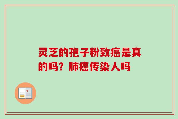 灵芝的孢子粉致是真的吗？传染人吗