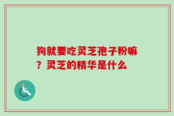 狗就要吃灵芝孢子粉嘛?灵芝的精华是什么 狗就要吃灵芝孢子粉嘛?灵芝的精华是什么
