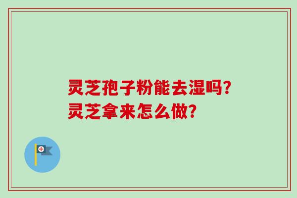 灵芝孢子粉能去湿吗?灵芝拿来怎么做? 灵芝孢子粉能去湿吗?灵芝拿来怎么做?