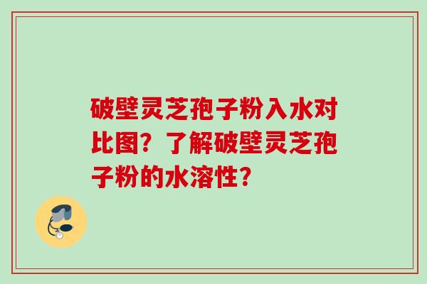 破壁灵芝孢子粉入水对比图?了解破壁灵芝孢子粉的水溶性? 破壁灵芝孢子粉入水对比图?了解破壁灵芝孢子粉的水溶性?