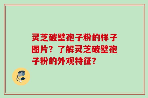 灵芝破壁孢子粉的样子图片?了解灵芝破壁孢子粉的外观特征? 灵芝破壁孢子粉的样子图片?了解灵芝破壁孢子粉的外观特征?