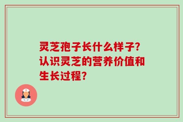 灵芝孢子长什么样子?认识灵芝的营养价值和生长过程? 灵芝孢子长什么样子?认识灵芝的营养价值和生长过程?