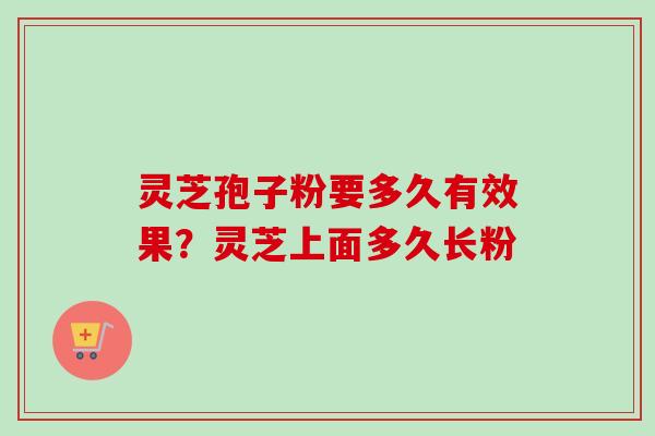 灵芝孢子粉要多久有效果?灵芝上面多久长粉 灵芝孢子粉要多久有效果?灵芝上面多久长粉