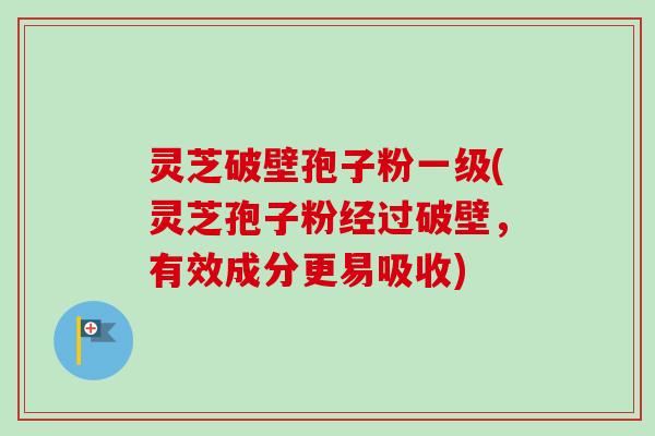 灵芝破壁孢子粉一级(灵芝孢子粉经过破壁，有效成分更易吸收)