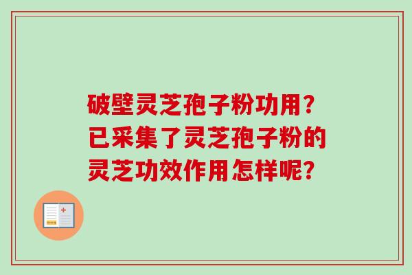 破壁灵芝孢子粉功用?已采集了灵芝孢子粉的灵芝功效作用怎样呢? 破壁灵芝孢子粉功用?已采集了灵芝孢子粉的灵芝功效作用怎样呢?