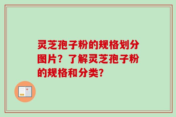 灵芝孢子粉的规格划分图片?了解灵芝孢子粉的规格和分类? 灵芝孢子粉的规格划分图片?了解灵芝孢子粉的规格和分类?