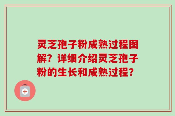 灵芝孢子粉成熟过程图解?详细介绍灵芝孢子粉的生长和成熟过程? 灵芝孢子粉成熟过程图解?详细介绍灵芝孢子粉的生长和成熟过程?