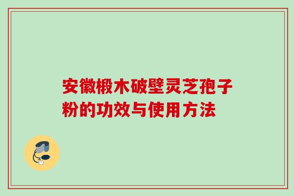 安徽椴木破壁灵芝孢子粉的功效与使用方法