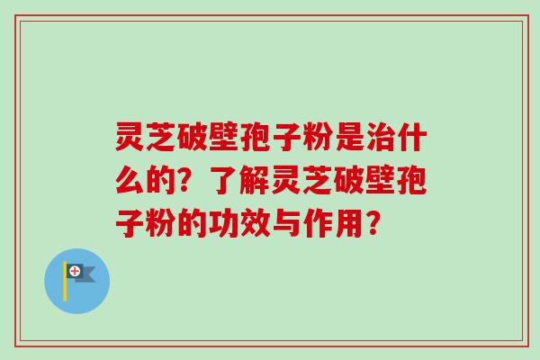灵芝破壁孢子粉是什么的?了解灵芝破壁孢子粉的功效与作用? 灵芝破壁孢子粉是什么的?了解灵芝破壁孢子粉的功效与作用?