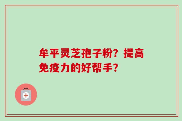 牟平灵芝孢子粉？提高免疫力的好帮手？