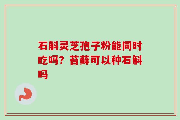 石斛灵芝孢子粉能同时吃吗?苔藓可以种石斛吗 石斛灵芝孢子粉能同时吃吗?苔藓可以种石斛吗