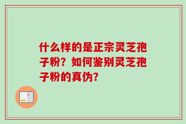 什么样的是正宗灵芝孢子粉？如何鉴别灵芝孢子粉的真伪？
