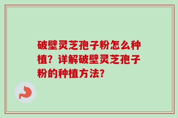 破壁灵芝孢子粉怎么种植?详解破壁灵芝孢子粉的种植方法? 破壁灵芝孢子粉怎么种植?详解破壁灵芝孢子粉的种植方法?