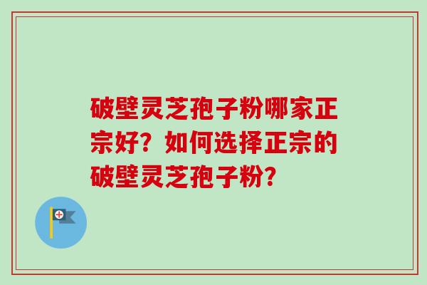 破壁灵芝孢子粉哪家正宗好？如何选择正宗的破壁灵芝孢子粉？