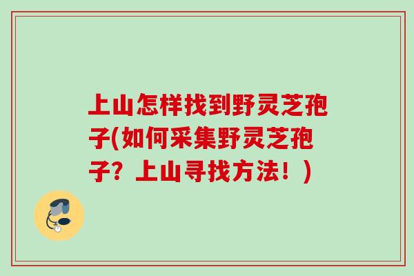 上山怎样找到野灵芝孢子(如何采集野灵芝孢子？上山寻找方法！)