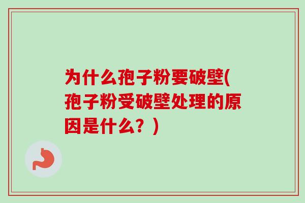 为什么孢子粉要破壁(孢子粉受破壁处理的原因是什么?) 为什么孢子粉要破壁(孢子粉受破壁处理的原因是什么?)