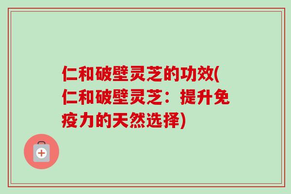 仁和破壁灵芝的功效(仁和破壁灵芝:提升免疫力的天然选择) 仁和破壁灵芝的功效(仁和破壁灵芝:提升免疫力的天然选择)
