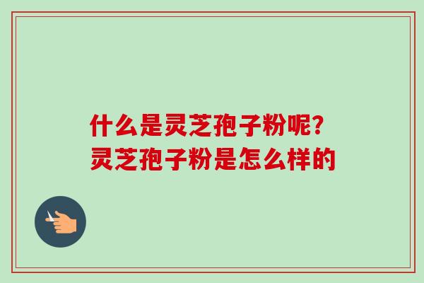 什么是灵芝孢子粉呢?灵芝孢子粉是怎么样的 什么是灵芝孢子粉呢?灵芝孢子粉是怎么样的