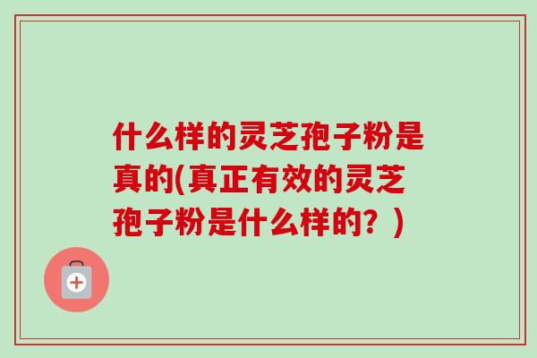 什么样的灵芝孢子粉是真的(真正有效的灵芝孢子粉是什么样的?) 什么样的灵芝孢子粉是真的(真正有效的灵芝孢子粉是什么样的?)