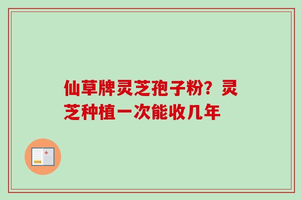 仙草牌灵芝孢子粉？灵芝种植一次能收几年