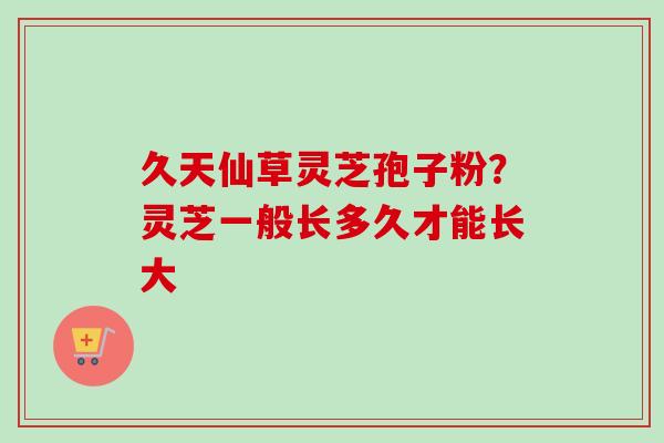 久天仙草灵芝孢子粉?灵芝一般长多久才能长大 久天仙草灵芝孢子粉?灵芝一般长多久才能长大