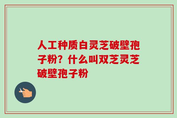 人工种质白灵芝破壁孢子粉?什么叫双芝灵芝破壁孢子粉 人工种质白灵芝破壁孢子粉?什么叫双芝灵芝破壁孢子粉