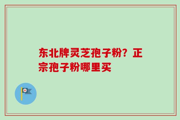 东北牌灵芝孢子粉?正宗孢子粉哪里买 东北牌灵芝孢子粉?正宗孢子粉哪里买
