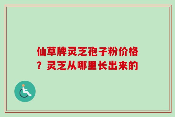 仙草牌灵芝孢子粉价格？灵芝从哪里长出来的