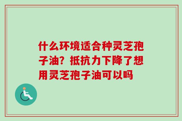 什么环境适合种灵芝孢子油?抵抗力下降了想用灵芝孢子油可以吗 什么环境适合种灵芝孢子油?抵抗力下降了想用灵芝孢子油可以吗