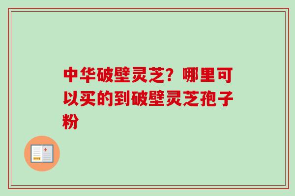 中华破壁灵芝?哪里可以买的到破壁灵芝孢子粉 中华破壁灵芝?哪里可以买的到破壁灵芝孢子粉