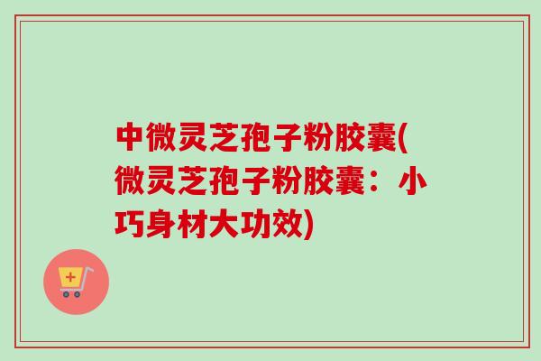 中微灵芝孢子粉胶囊(微灵芝孢子粉胶囊：小巧身材大功效)