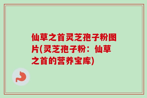 仙草之首灵芝孢子粉图片(灵芝孢子粉:仙草之首的营养宝库) 仙草之首灵芝孢子粉图片(灵芝孢子粉:仙草之首的营养宝库)