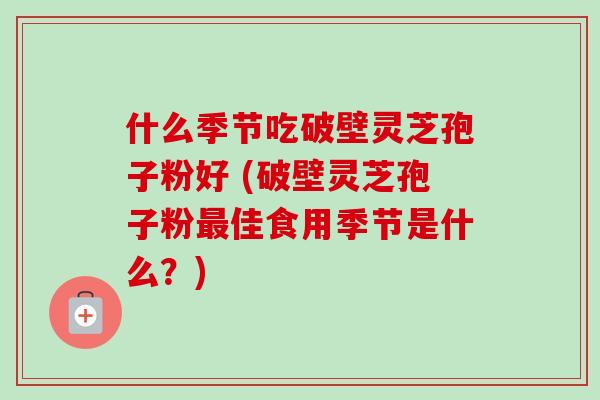 什么季节吃破壁灵芝孢子粉好 (破壁灵芝孢子粉佳食用季节是什么？)