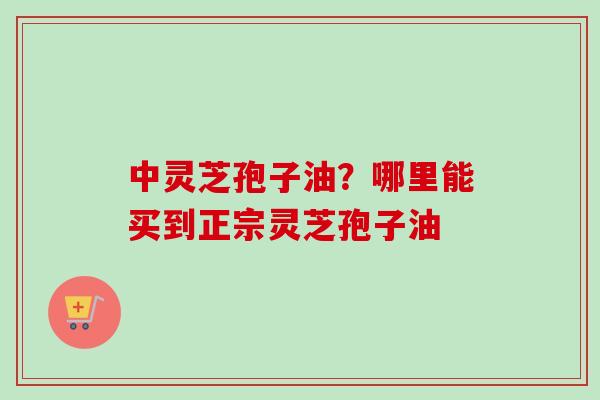 中灵芝孢子油？哪里能买到正宗灵芝孢子油