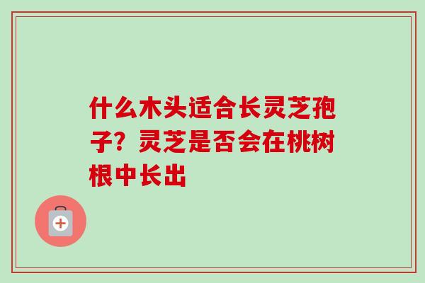 什么木头适合长灵芝孢子?灵芝是否会在桃树根中长出 什么木头适合长灵芝孢子?灵芝是否会在桃树根中长出