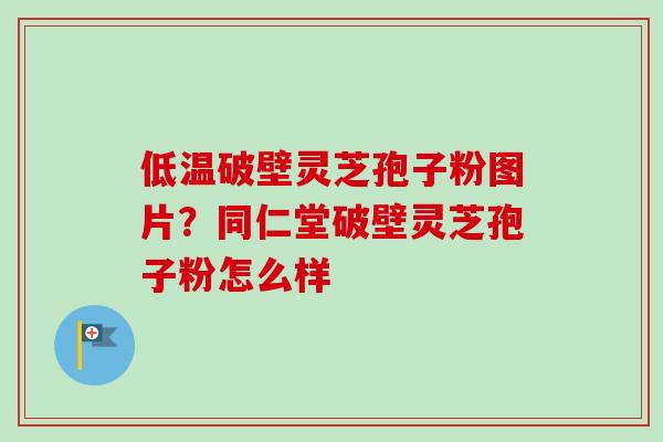 低温破壁灵芝孢子粉图片？同仁堂破壁灵芝孢子粉怎么样