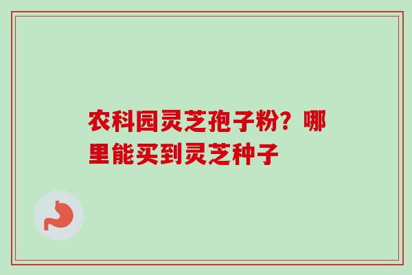 农科园灵芝孢子粉?哪里能买到灵芝种子 农科园灵芝孢子粉?哪里能买到灵芝种子