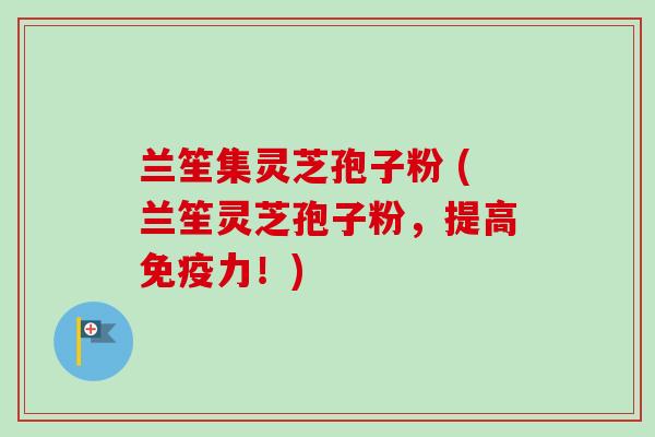 兰笙集灵芝孢子粉 (兰笙灵芝孢子粉，提高免疫力！)