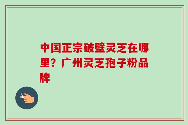 中国正宗破壁灵芝在哪里？广州灵芝孢子粉品牌