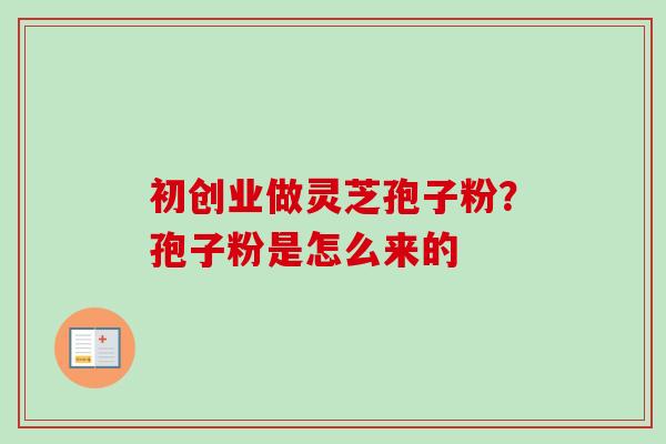 初创业做灵芝孢子粉？孢子粉是怎么来的
