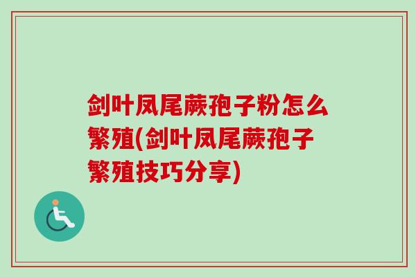剑叶凤尾蕨孢子粉怎么繁殖(剑叶凤尾蕨孢子繁殖技巧分享) 剑叶凤尾蕨孢子粉怎么繁殖(剑叶凤尾蕨孢子繁殖技巧分享)